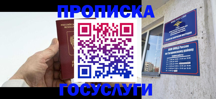 временная регистрация надежно в Волосово